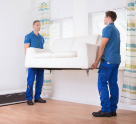 Est at dico verterem